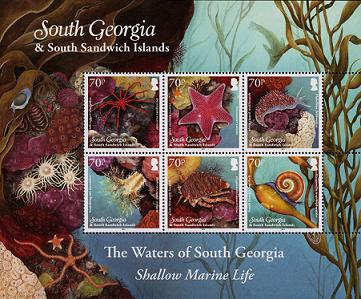 marine life