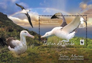 Tristan Albatross WWF SS