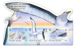albatrossMS