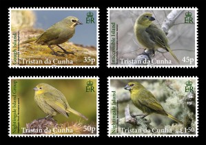 TDC Finches Set
